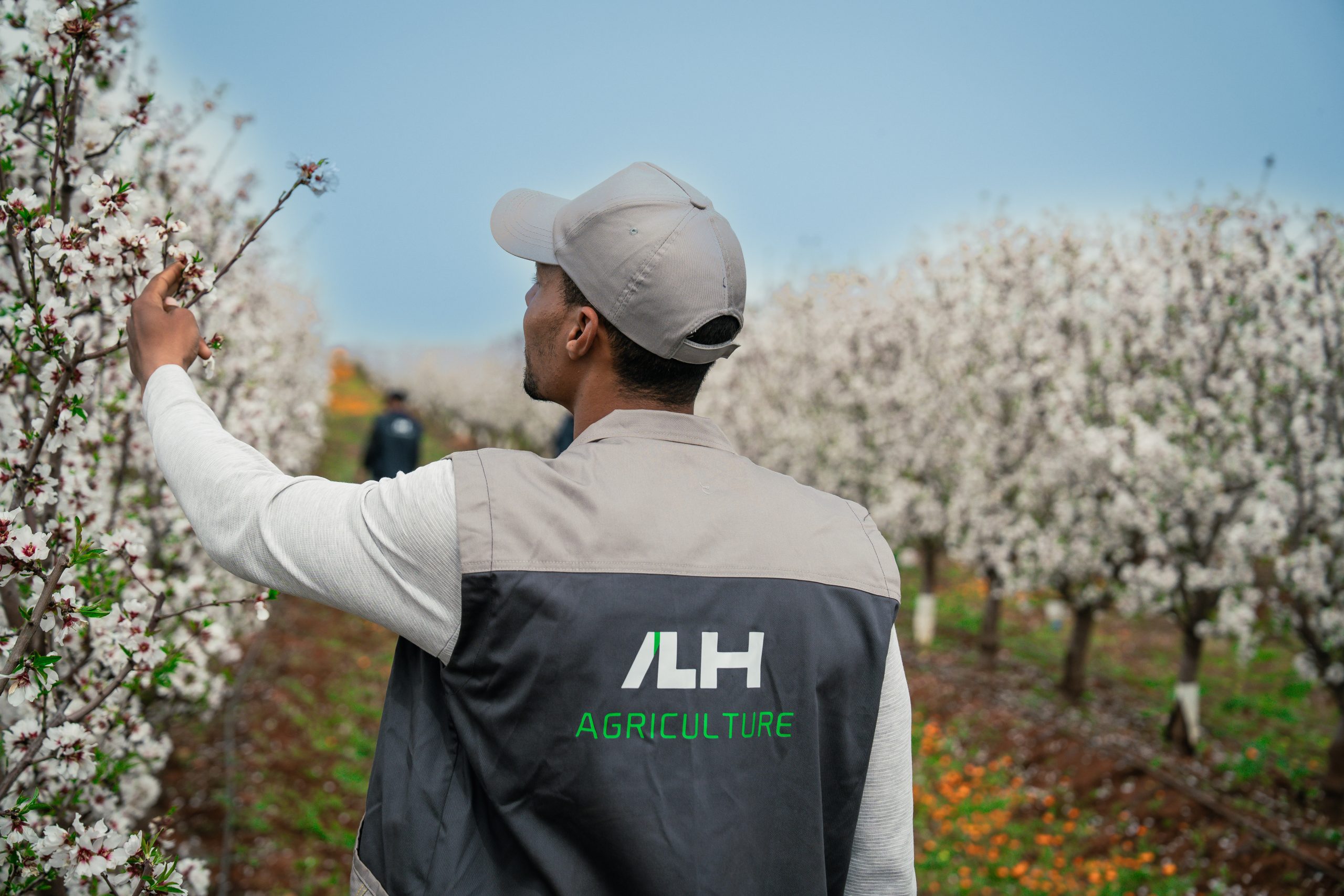 ALH AGRIC (8 of 15)